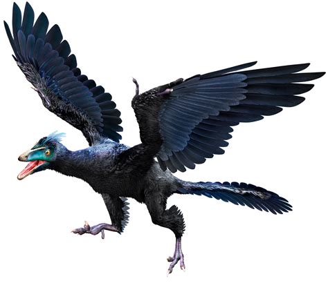 archeopteryx
